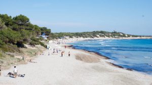 Las Salinas Beach Ibiza