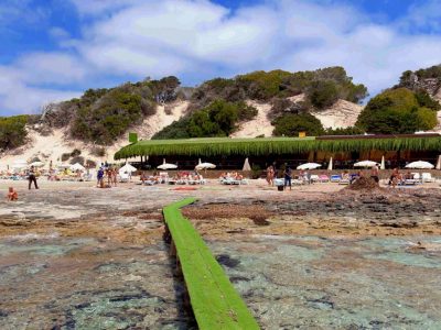 6 beach restaurants and beach clubs in Ibiza – highly recommended