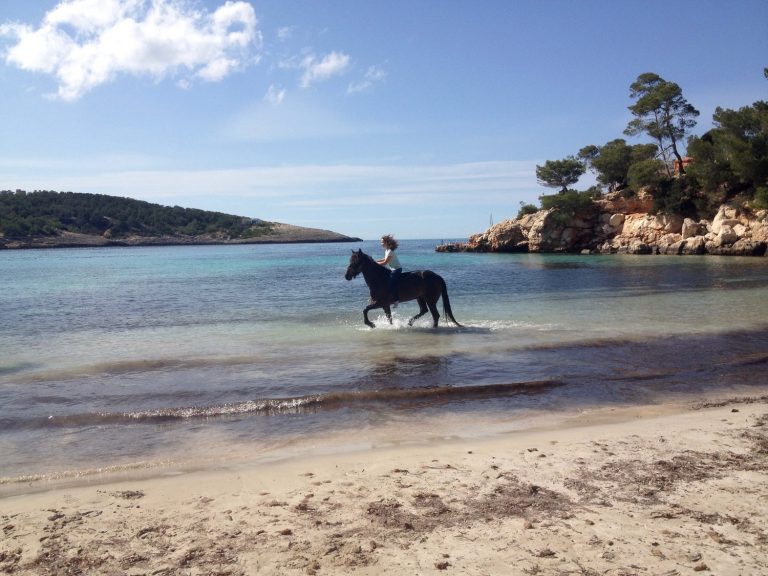 Ibiza horse valley