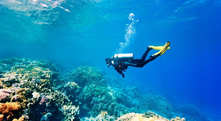 Scuba diving Ibiza