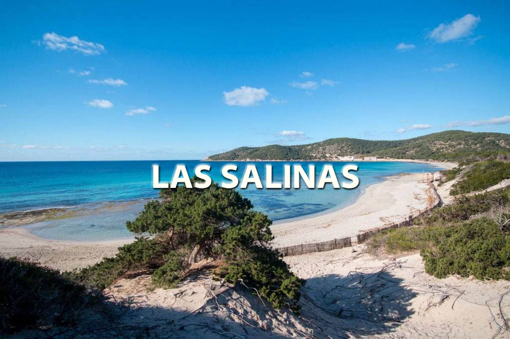 Las Salinas Beach