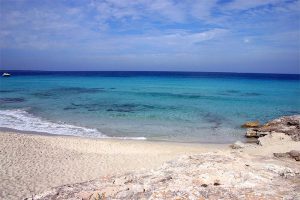 Es Cavall den Borras