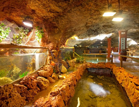 Aquarium Cap Blac Ibiza