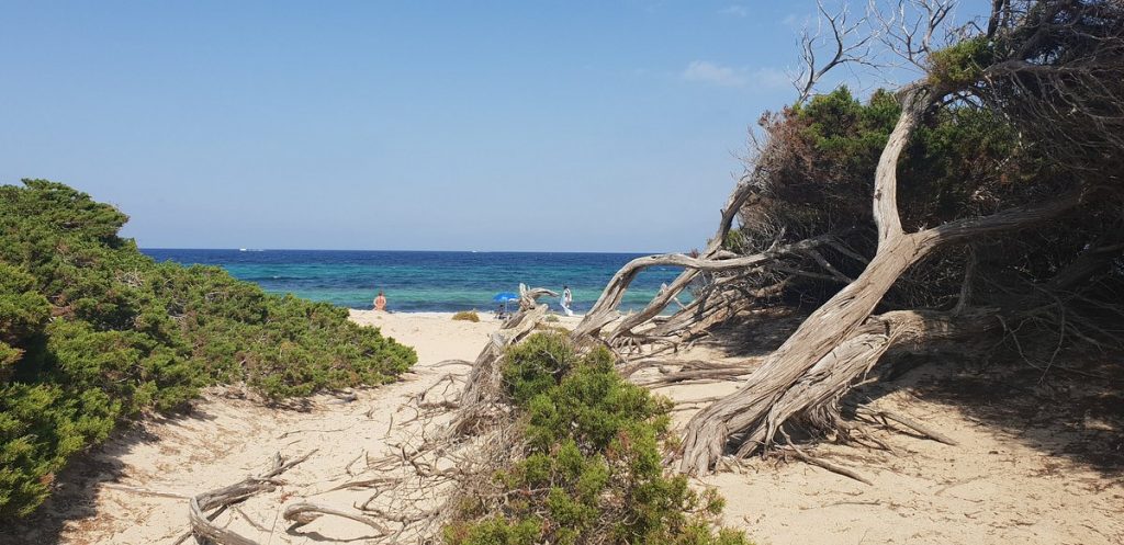 Es Cavallet Beach Ibiza