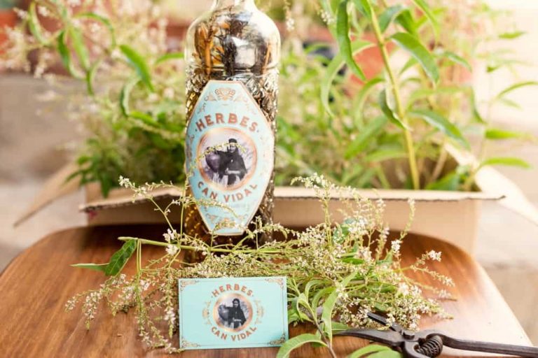 Herbes Can Vidal