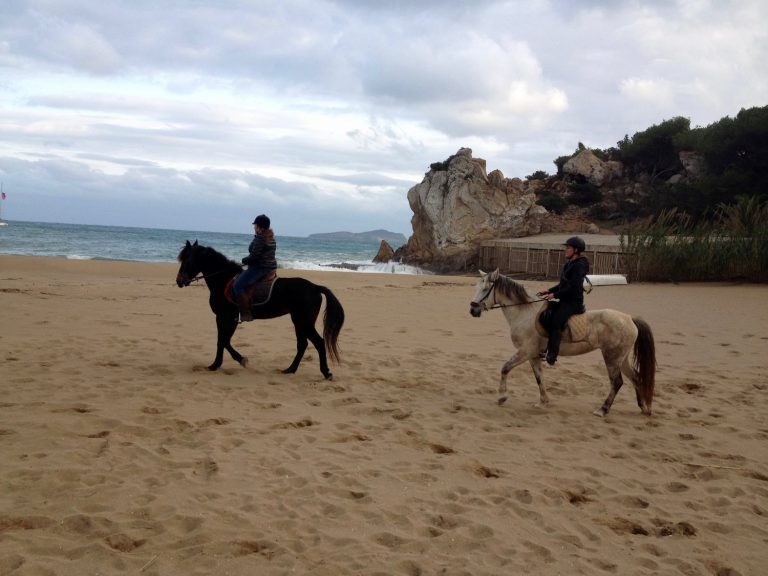 Ibiza Horse Valley