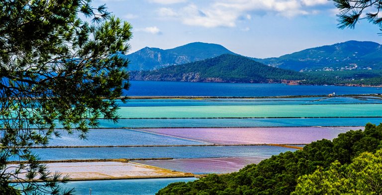 Ses Salinas Natural Park