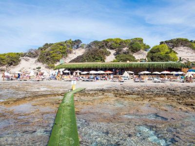 Sa Trinxa – paradise in Ses Salines