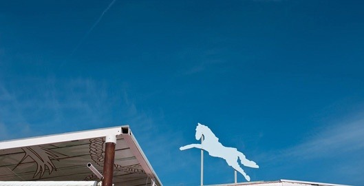 Logo at Jockey Club Ibiza