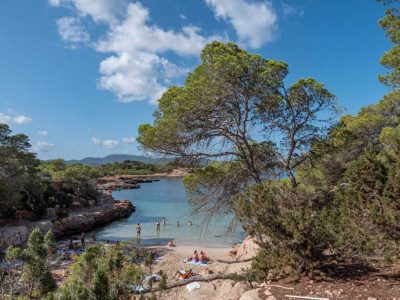 The Summer Awakening & Lifestyle Essentials